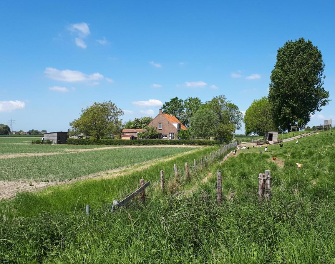 Apartamento “In Oans Oefje” Parel In De Polder! Lewedorp Exterior foto