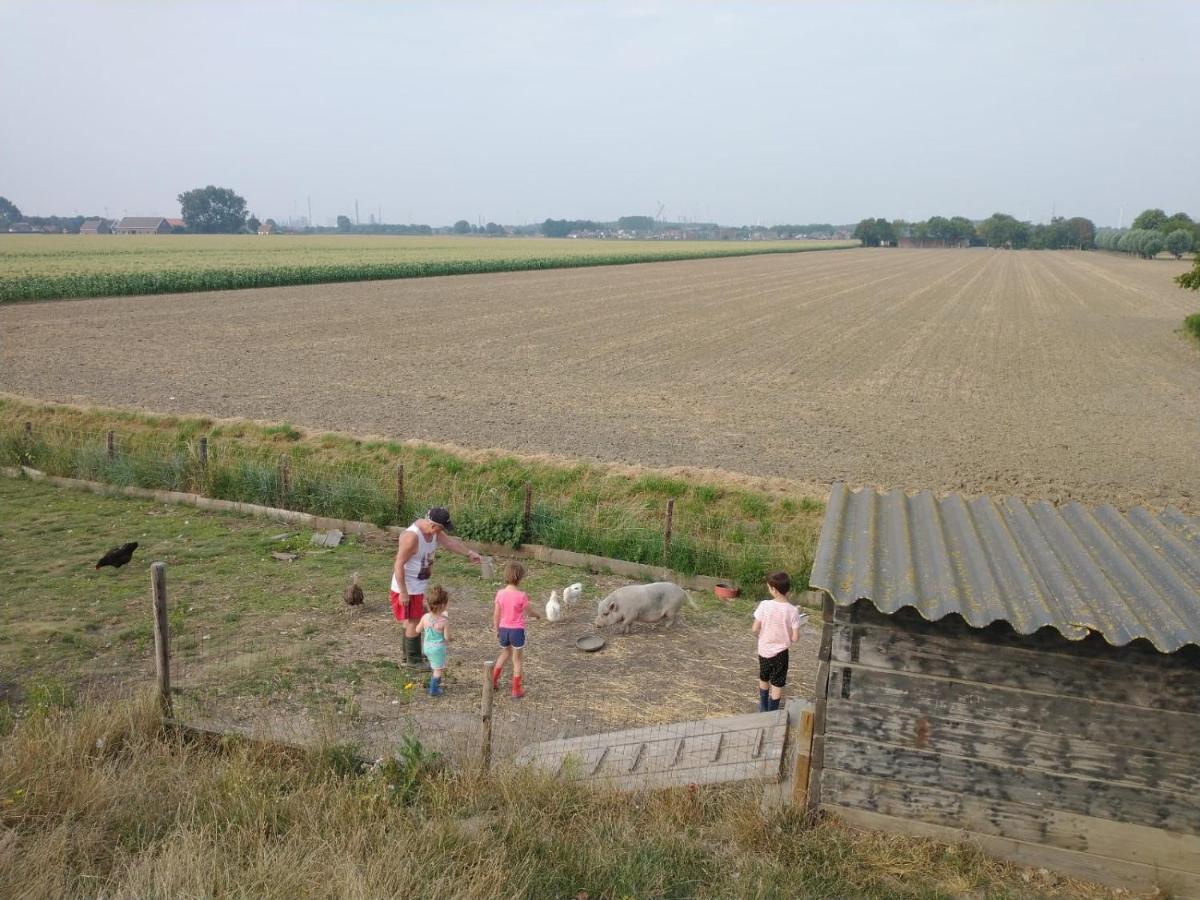 Apartamento “In Oans Oefje” Parel In De Polder! Lewedorp Exterior foto