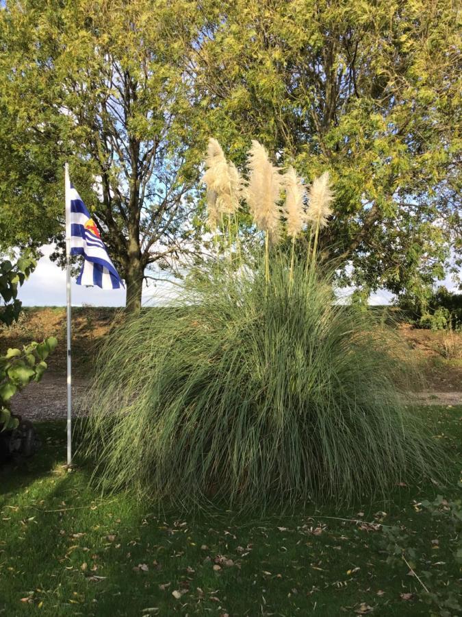 Apartamento “In Oans Oefje” Parel In De Polder! Lewedorp Exterior foto